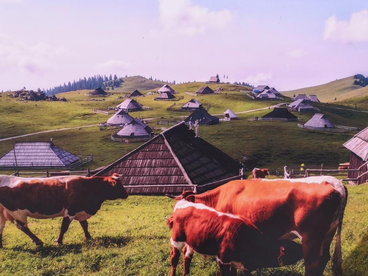 Apartma Tanja -Kamnik Exteriér fotografie