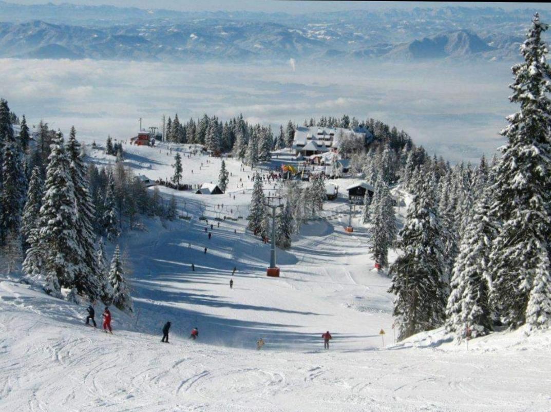 Apartma Tanja -Kamnik Exteriér fotografie