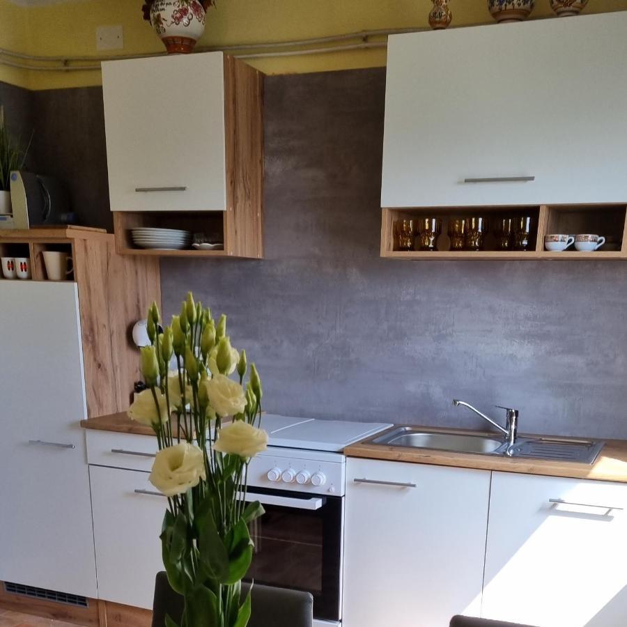 Apartma Tanja -Kamnik Exteriér fotografie