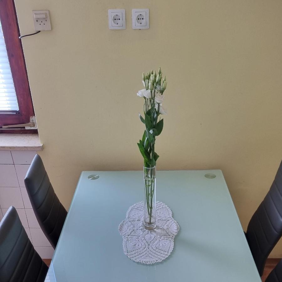 Apartma Tanja -Kamnik Exteriér fotografie